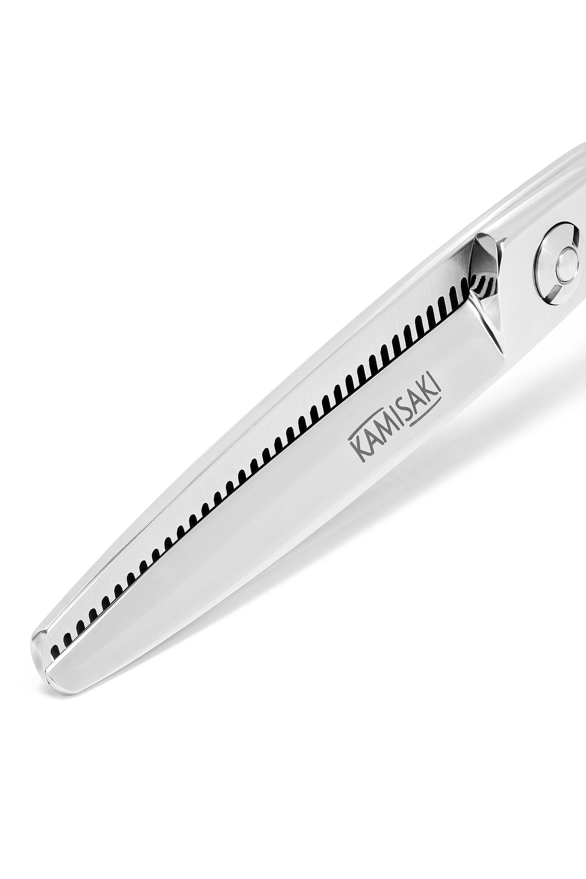 V-Blender VG10